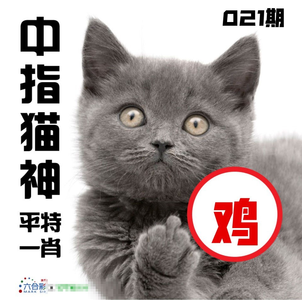 021期中指猫神[图]