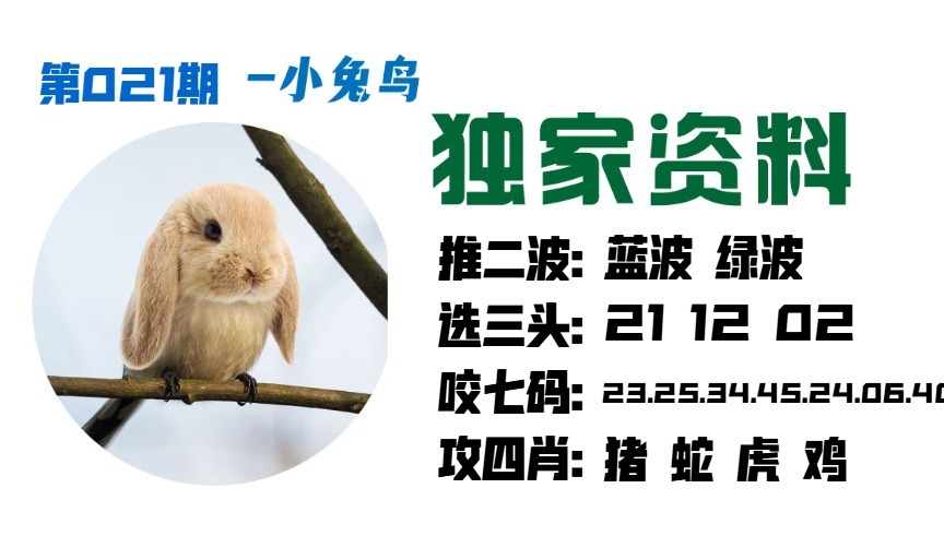 021期小兔鸟[图]